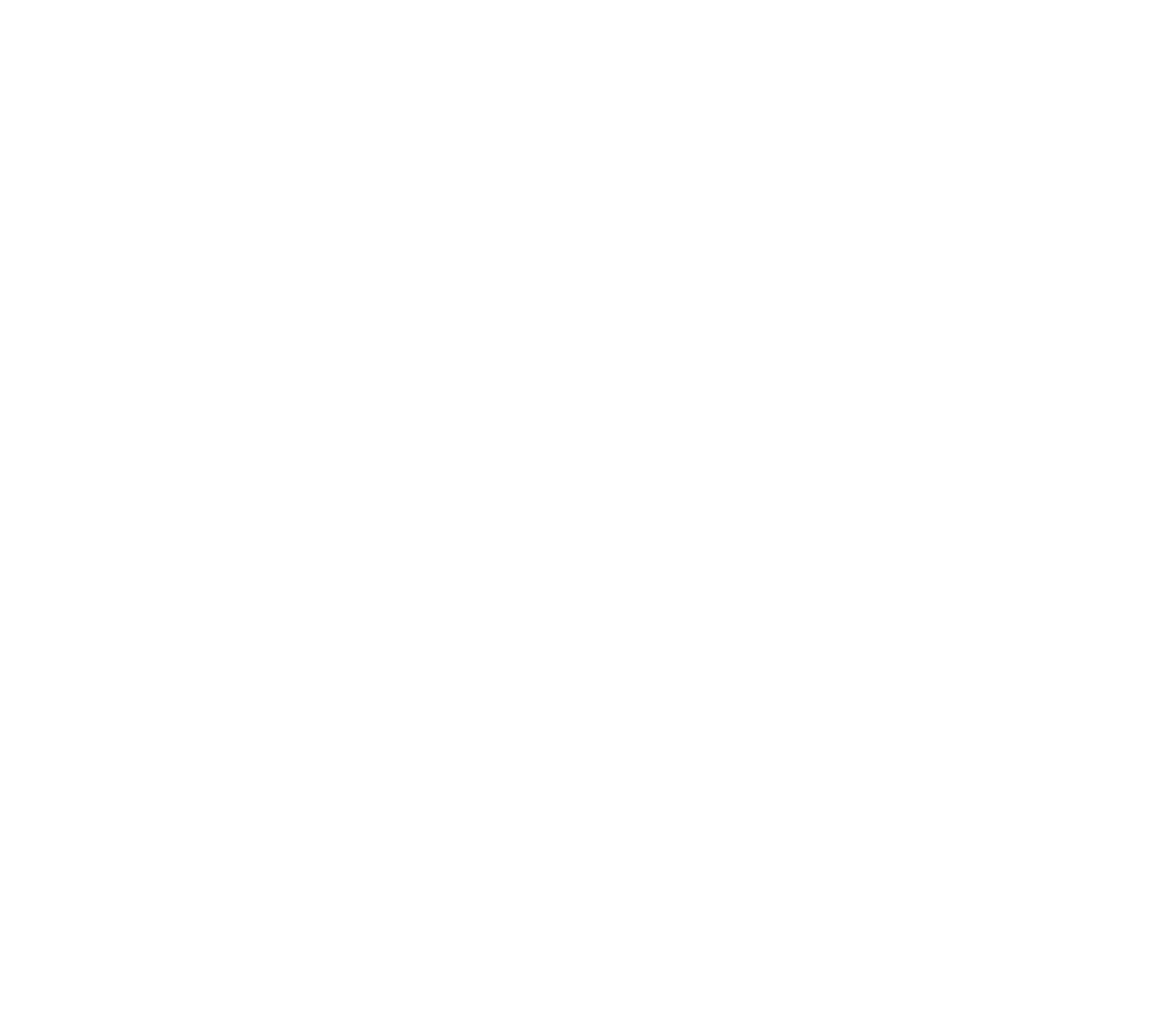 PTM Armor Logo - White
